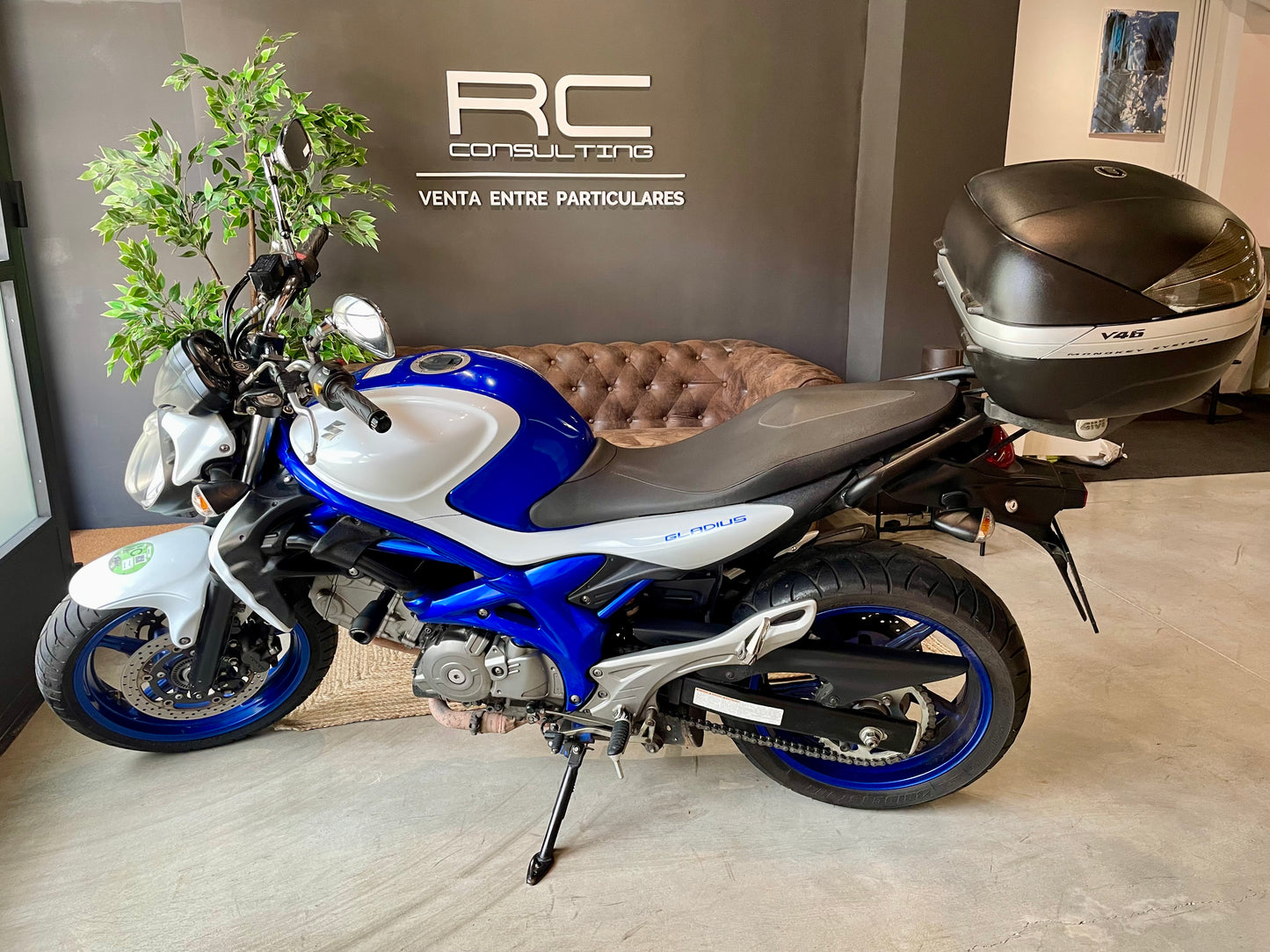 Suzuki Gladius 650