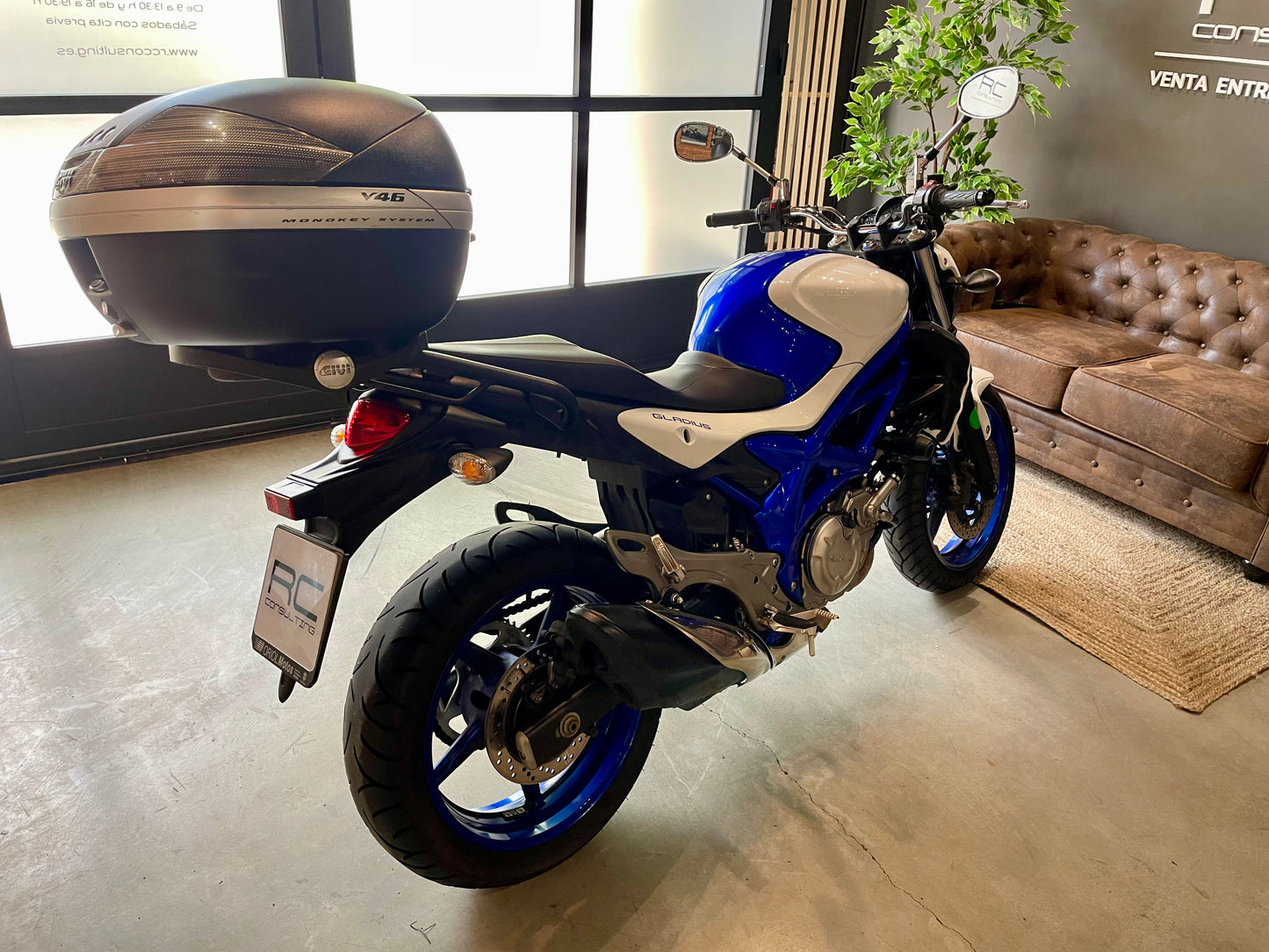 Suzuki Gladius 650
