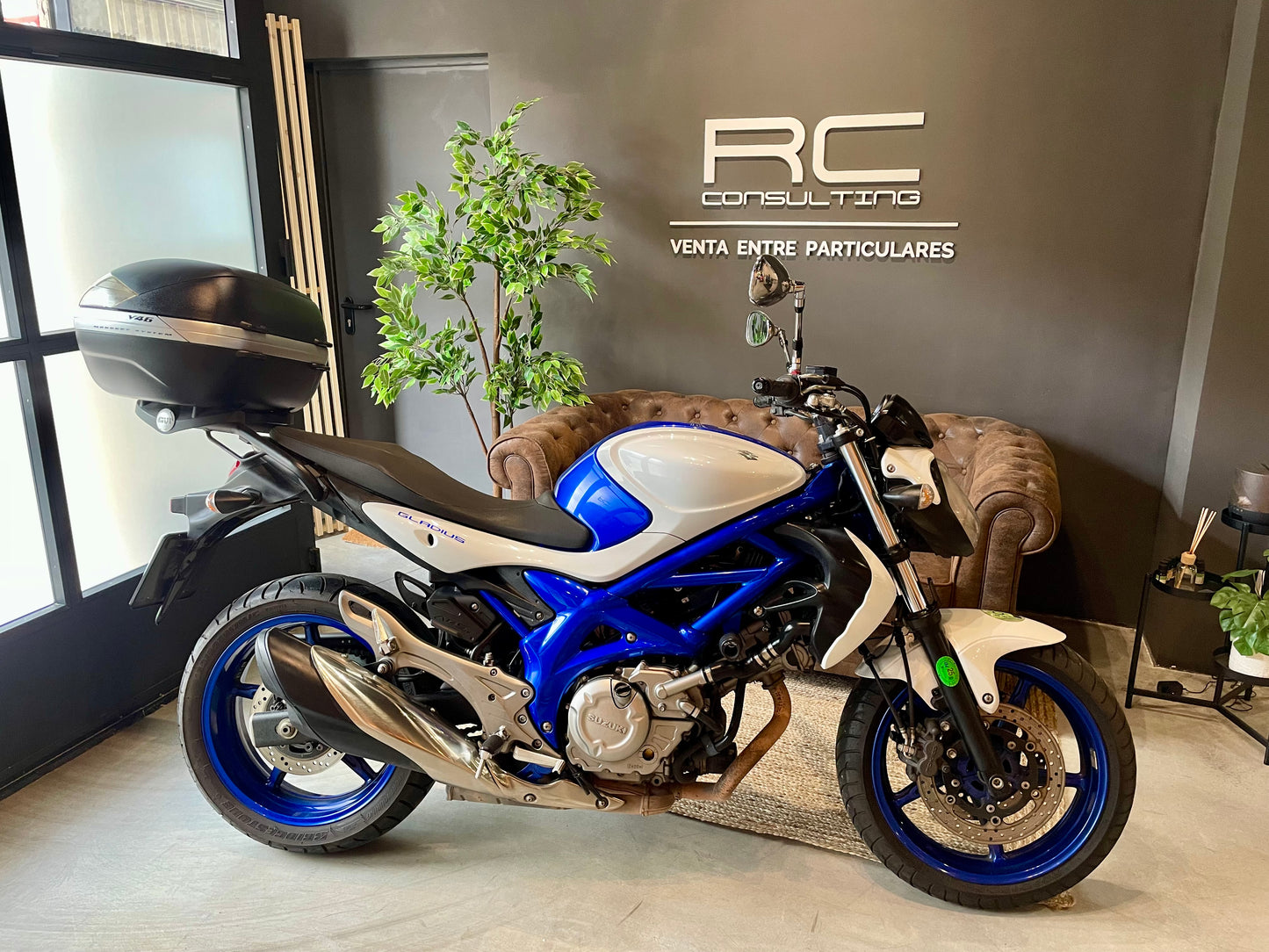 Suzuki Gladius 650