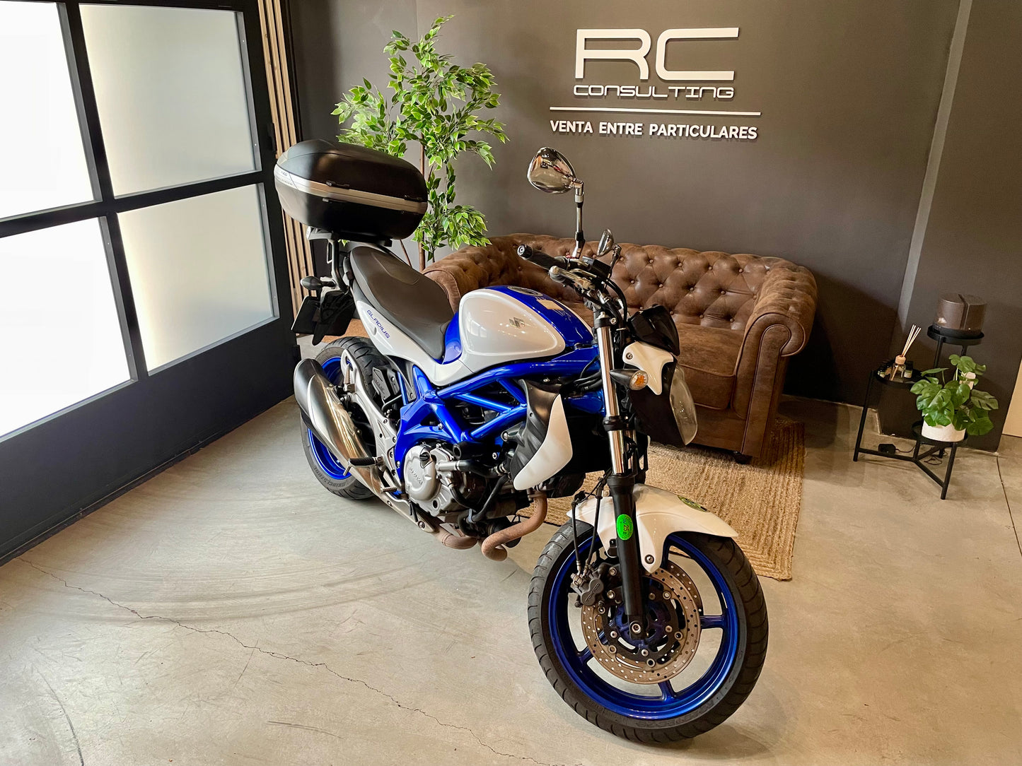 Suzuki Gladius 650