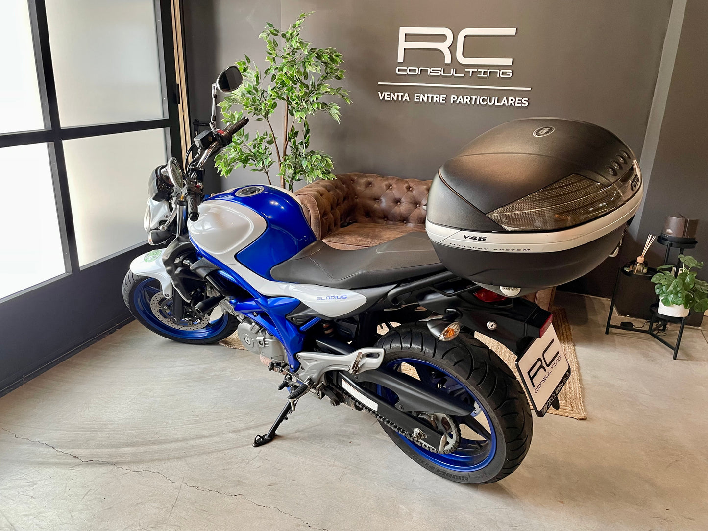 Suzuki Gladius 650